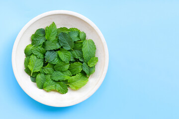 Bowl of mint leaves on blue background.