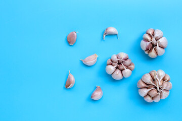 Garlic on blue background, top view