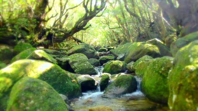 水の国〜日本の源流風景