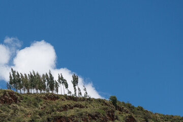 The Sacred Valley and tree of Pisac, near Cuzco Peru