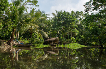 Boats tied to the bank of the canal in Can Tho/Vietnam. Cần Thơ is the largest city in the Mekong Delta and is noted for its floating markets, rice paper-making village, and picturesque rural canals.