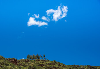 The Sacred Valley and tree of Pisac, near Cuzco Peru
