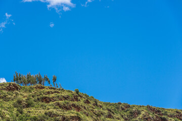 The Sacred Valley and tree of Pisac, near Cuzco Peru
