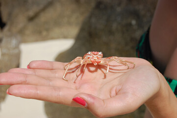 Thailand. Culture Of Thailand. Attractions and nature of Thailand.