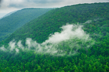 Lush green forest in the mountains, clouds rolling in the mountains, view from Lindy Point, West Virginia
