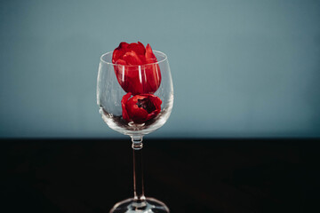 Roses in a Wine Glass