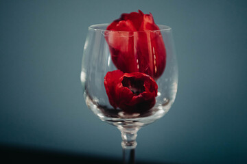 Roses in a Wine Glass