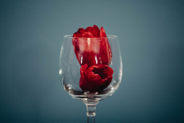 Roses in a Wine Glass