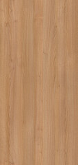 Fototapeta na wymiar Nautral wood texture image background