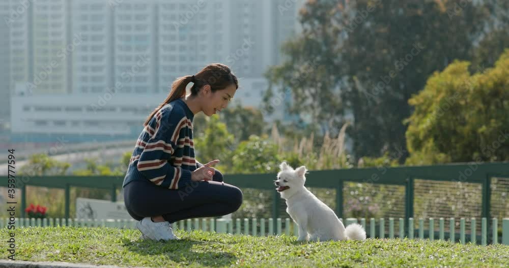 Canvas Prints Woman play with her dog at park