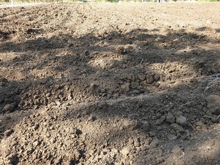 plowed field soil