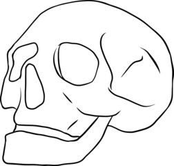 Vector black and white illustration of human line art hand drawn style.