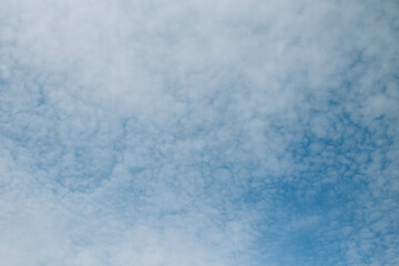 Altocumulus clouds on a blue sky.