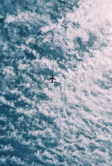 Fototapeta premium airplane in the sky
