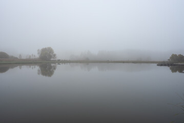Horse at lake on misty autumn day