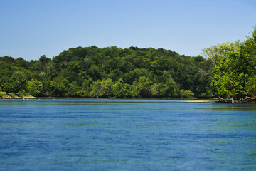Blue Heron While Kayaking on the French Broad River in Tennessee