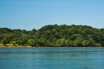 Blue Heron While Kayaking on the French Broad River in Tennessee