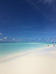 Maldives. The beauty of the Maldives Islands. Nature of the Maldives.