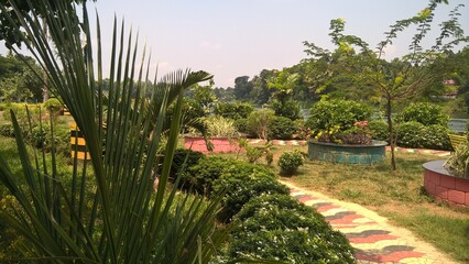 Fototapeta na wymiar tropical garden with palm trees