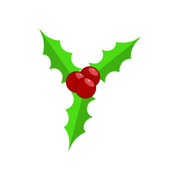 holly berry - christmas icon vector design template