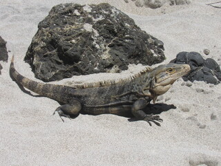 Manuel Antonio, Costa Rica