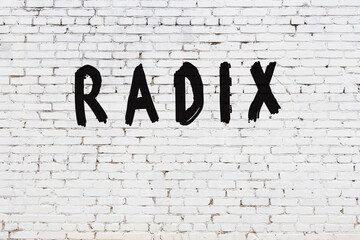 Word radix painted on white brick wall