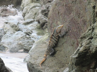 Manuel Antonio, Costa Rica