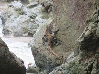 Manuel Antonio, Costa Rica