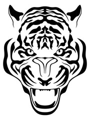 Head of an aggressive tiger close up