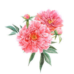 Beautiful floral bouquet composition with watercolor pink peony flowers. Stock illustration - obrazy, fototapety, plakaty
