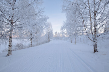 Snowy Lapland