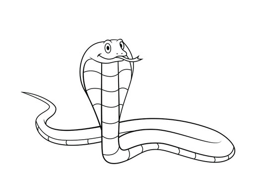 Cartoon cobra snake line drawing. Vector clip art illustration for coloring book
