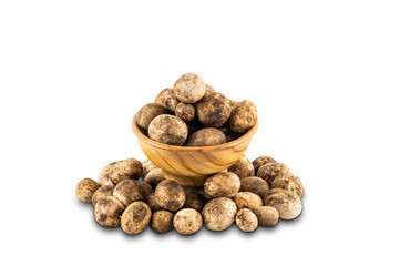 Mushroom Hygroscopic earthstar or Barometer earthstar or False earthstar in a wooden bowl on white background with clipping path