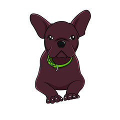 Obraz premium Bulldog color cartoon vector illustration