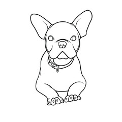 Cute Bulldog line drawing for coloring book