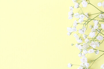 Flower composition. Frame of gypsophila flowers on a pale yellow background, pastel. Flat lay, top...