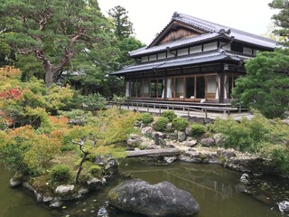 Fototapeta na wymiar japanese garden in Nara