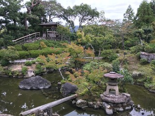 japanese garden in autumn of Nara