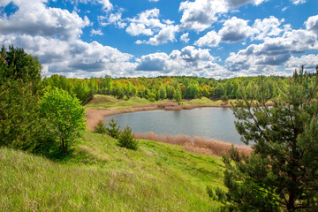 Fototapeta na wymiar Beautiful forest lake on a sunny summer day.
