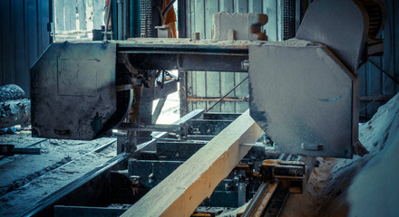 Sawmill. Process of machining logs in sawmill machine saws the tree trunk