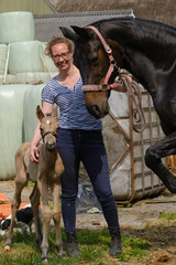 Cute newborn riding horse colt stands next to a woman in the grass. At the farmyard, yellow color. Dog behind the foal