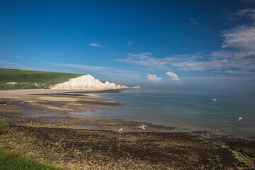 Beautiful Coastline of The Seven Sister Chalk Cliff, East Sussex, Eastbourne , England, United Kingdom