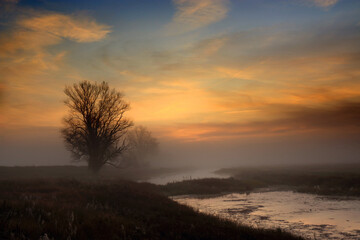 Fototapeta na wymiar Foggy morning in the field, Poland