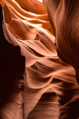 Portrait of a Wall in Antelope Canyon, Arizona, USA