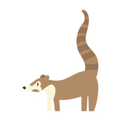 cute coati animal vector