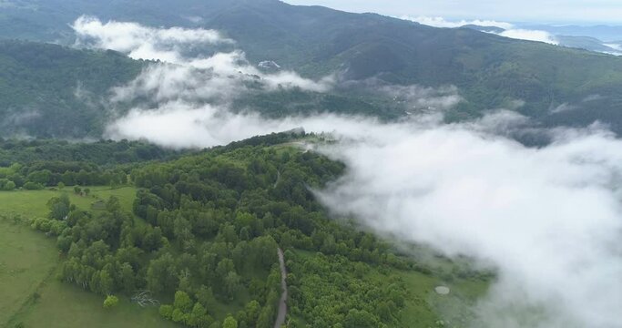 Dense green forest in the spring and winding mountain road covered with mist, drone view