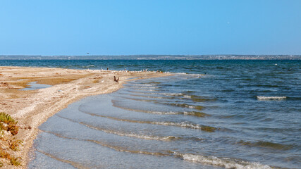 The wind drives frequent waves near the shallow coast.