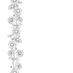 Summer border of black outline flower chamomile and leaves. Isolated on white background.  Copy space. Hand drawn. Seamless vertical brush. Sketch. Vector stock illustration.