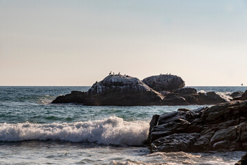 Mexico, Puerto Escondido, still pelicans on a rock, background blue sky