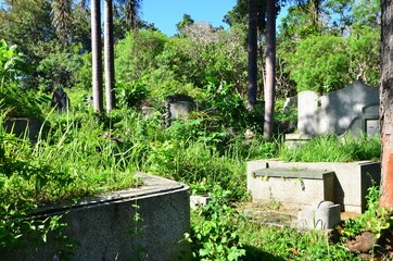Naklejka premium Tombstones On Grassy Field In Cemetery Against Sky